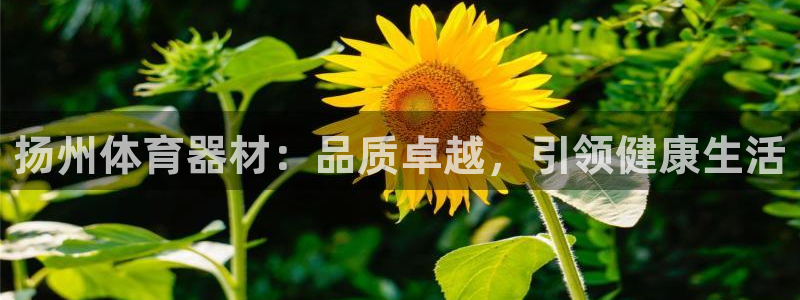 极悦平台注册和登录页面不一样