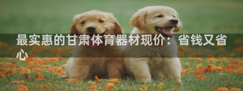 极悦官网登录