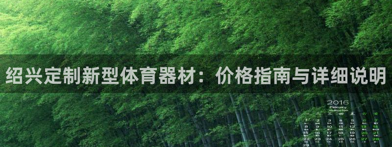 极悦娱乐游戏中心：绍兴定制新型体育器材：价格指南与详