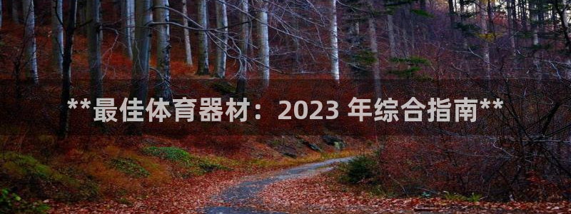 极悦平台是什么：**最佳体育器材：2023 年综合指