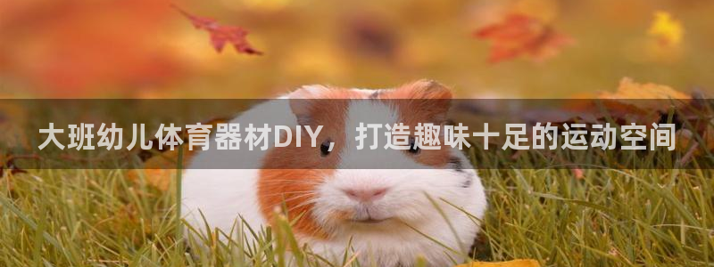 极悦娱乐的内部员工福利：大班幼儿体育器材DIY，打造趣味十足