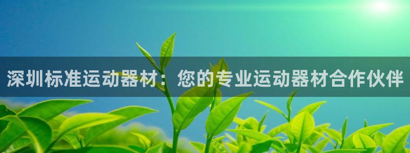 极悦娱乐的创始人背景故事：深圳标准运动器材：您的专业