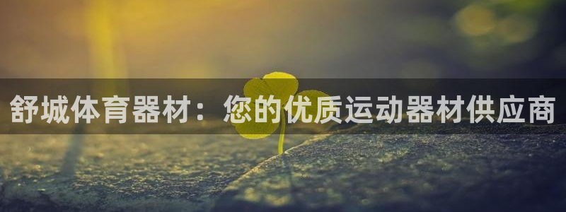 极悦娱乐的创始人背景故事是什么:舒城体育器材:您的优质运动器