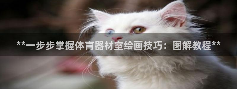 舒客极悦牙膏:**一步步掌握体育器材室绘画技巧:图解教程**