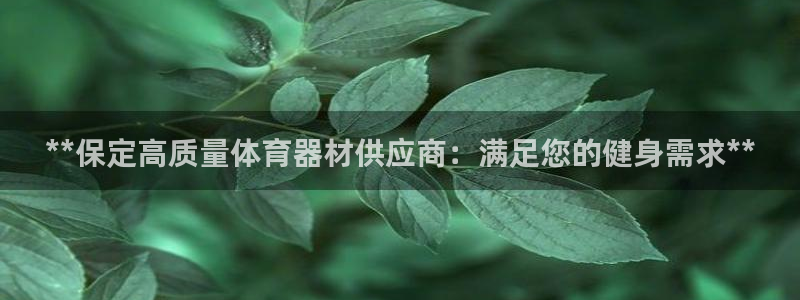极悦娱乐app官方版本更新内容是什么:**保定高质量体育器材