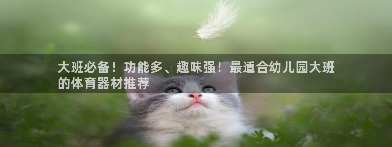 极悦平台注册官方网站下载安卓手机:大班必备!功能多、趣味强!
