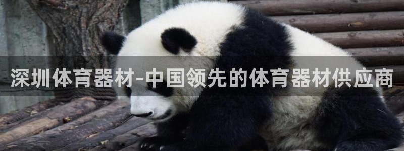极悦平台创始人背景故事视频:深圳体育器材-中国领先的体育器材
