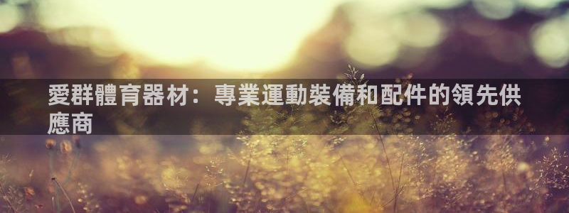 极悦娱乐代理多少钱一个月:愛群體育器材:專業運動裝備和配件的