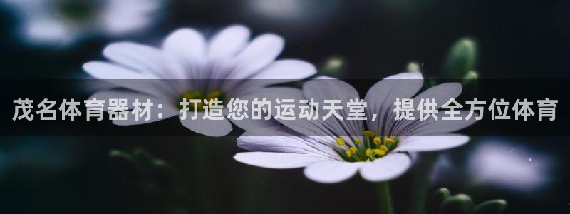 极悦官网首页登录入口下载:茂名体育器材:打造您的运动天堂,提