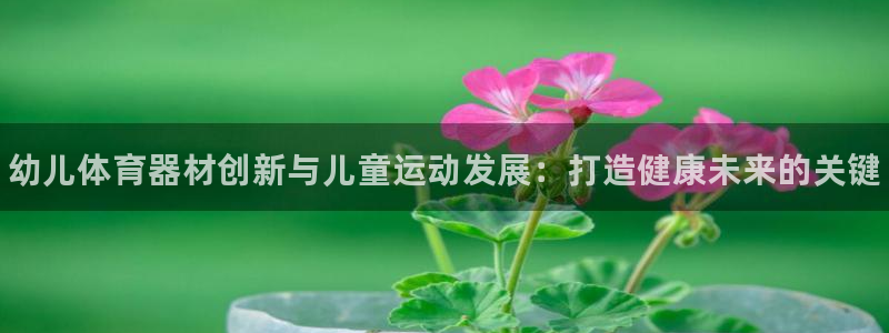 极悦生活家是什么平台的产品:幼儿体育器材创新与儿童运动发展:
