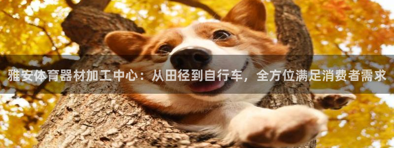 极悦平台注册登录失败:雅安体育器材加工中心:从田径到自行车,