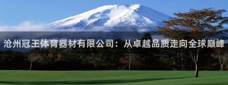 极悦平台注册登录入口:沧州冠王体育器材有限公司:从卓越品质走