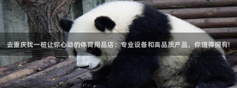 极悦平台安全吗可靠吗:去重庆找一桩让你心动的体育用品店:专业